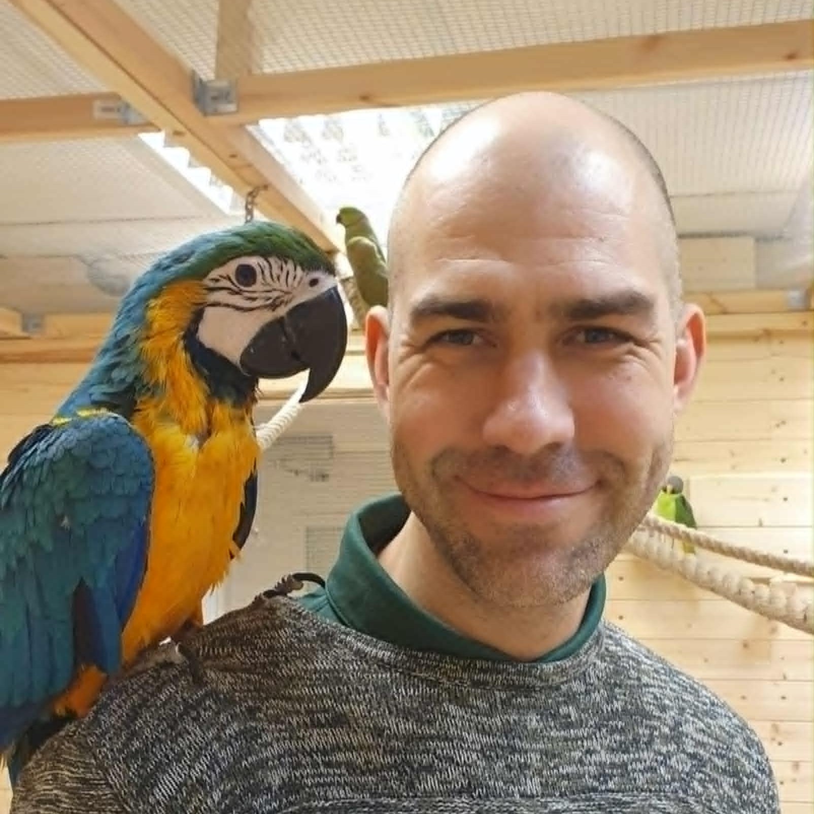 Joogatunni tagasiside Hendrikult